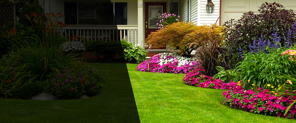 Thousand Palms Landscapers