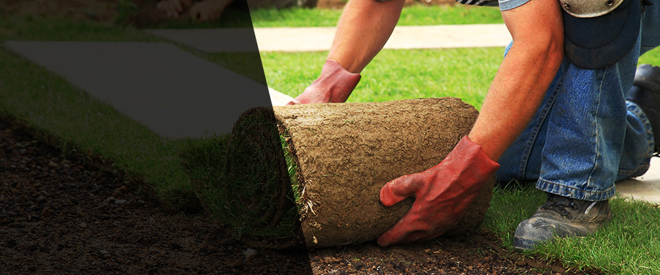 Thousand Palms Landscapers